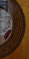 Chitarra 5